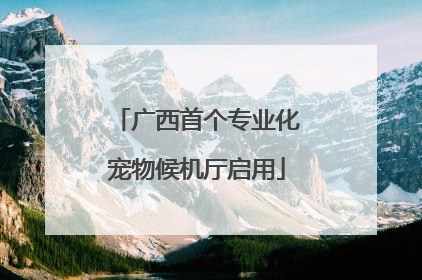 广西首个专业化宠物候机厅启用